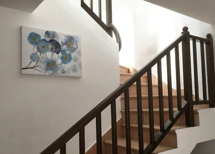 Casa Paloma